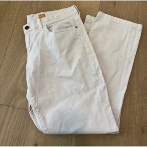 Pilcro and the Letterpress Button Jeans Straight Chino Pants Pink Blush Size 34